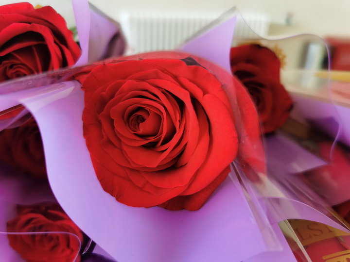 贈予玫瑰，留住芳華